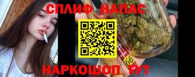дурь Заводоуковск