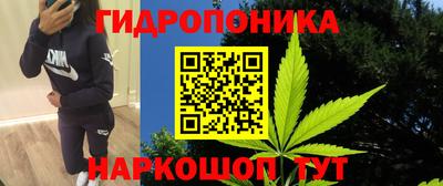 дурь Заводоуковск