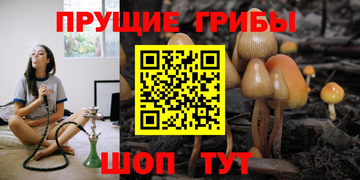 Галлюциногенные грибы MAGIC MUSHROOMS  Вход с VPN  Ноябрьск 